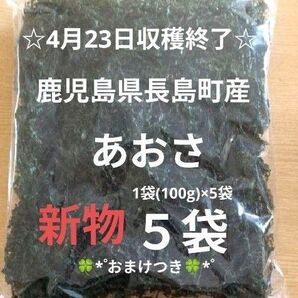 鹿児島県長島町産あおさ あおさのり 海苔 乾燥あおさ あおさ 鹿児島県産あおさ
