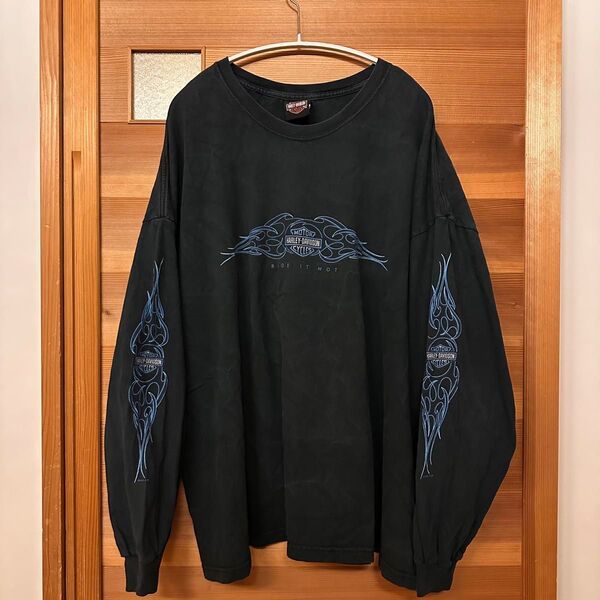 ハーレー ダビッドソン Hearley Davidson ロンT ロング Tシャツ 青 フレイム 90s 2xl