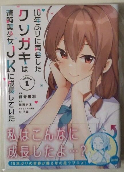 10年ぶりに再開したクソガキは清純美少女JKに成長していた コミック 1巻 未読新品