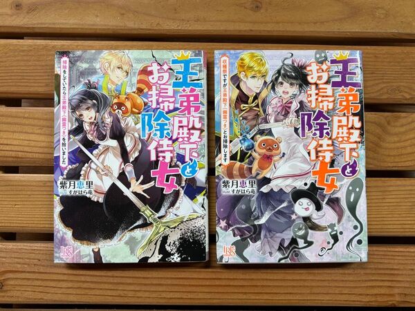 ■王弟殿下とお掃除侍女 2冊セット IRIS 小説