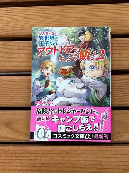 ■やんちゃな異世界王子たちとアウトドアでキャンプ飯!2 小説