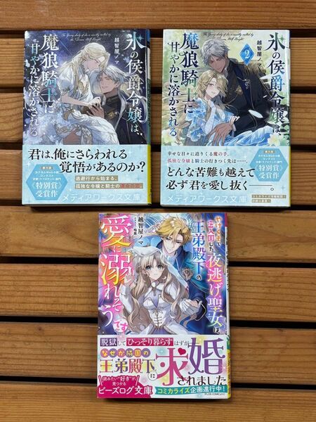氷の侯爵令嬢は、魔狼騎士に甘やかに溶かされる 1巻2巻セット他1冊 小説