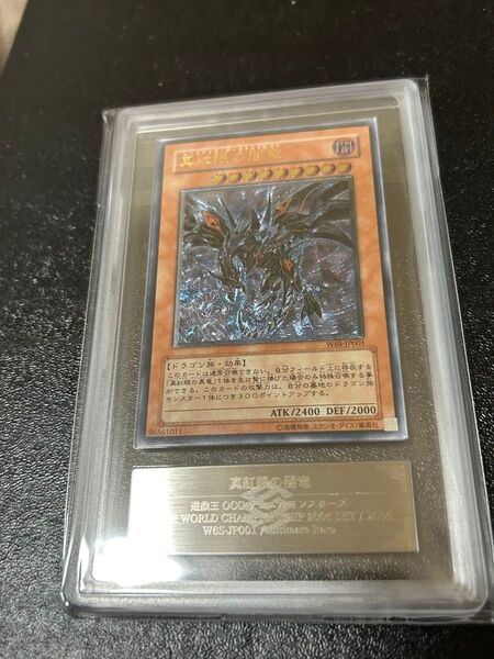 遊戯王 真紅眼の闇竜 レリーフ ARS10