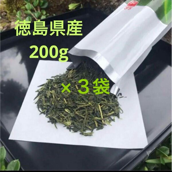 新茶 農家直送 無農薬 緑茶 2025年 徳島県産 200g x3袋