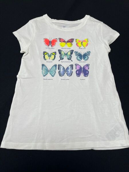 GAP キッズ Tシャツ 140cm 蝶 バタフライ
