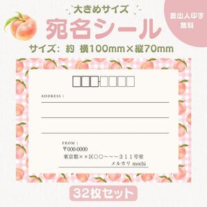 宛名シール ピーチ② 大きめサイズ 32枚セット