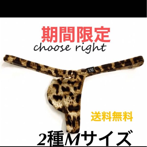 新品 さらさらメンズ ヒョウ柄セクシーインナー アニマルTバック豹柄 M-2枚