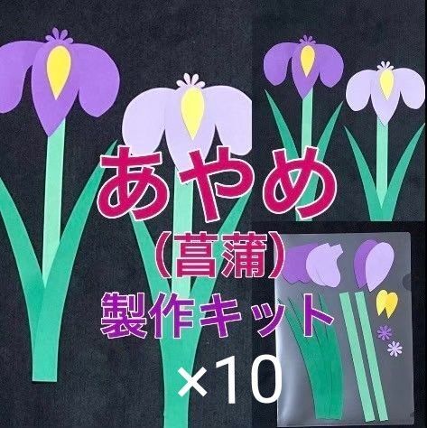 あやめ 菖蒲 製作キット 壁面飾り 春 保育 ペーパークラフト