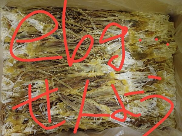ダイエットにも最適な大好評珍味 前浜するめS足 不足分