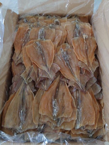 【国産無添加商品】ダイエットにも最適な大好評珍味 『前浜するめだるま400g 』