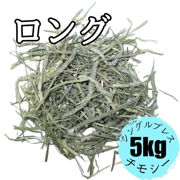 US スーパープレミアム チモシー 1番刈り シングルプレス 5kg
