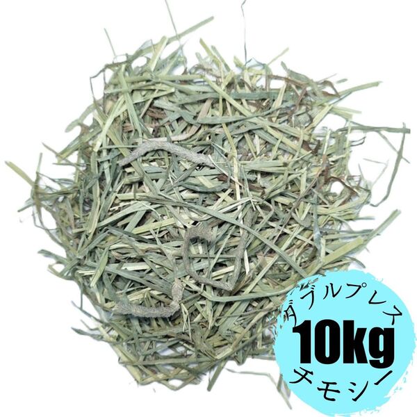 US プレミアム チモシー 1番刈り ダブルプレス 10kg