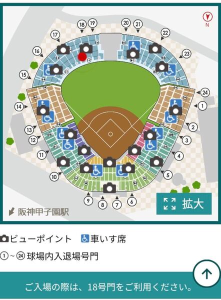 【中止補償あり】5月17日(土)甲子園 阪神対広島 大人チケット2枚