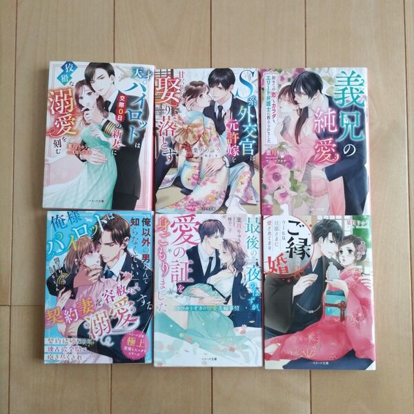 TL小説 葉月りゅう 6冊セット★ベリーズ文庫 ライトノベル