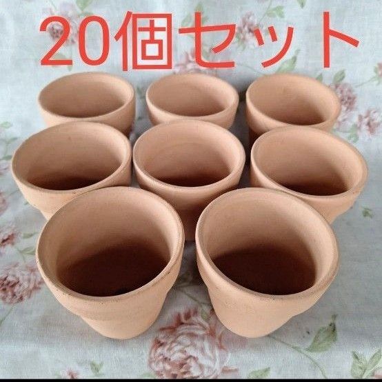 テラコッタ小型鉢 20個セット 植木鉢 陶器 盆栽 園芸 ガーデニング 鉢368 素焼き 多肉植物 植木鉢 盆栽鉢