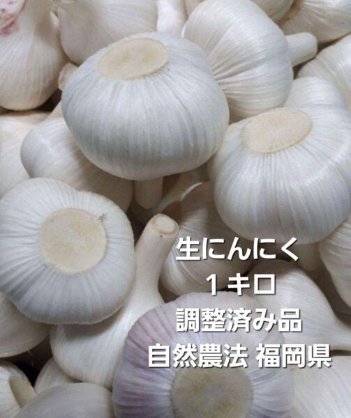 生にんにく1キロ 自然農法 福岡県産