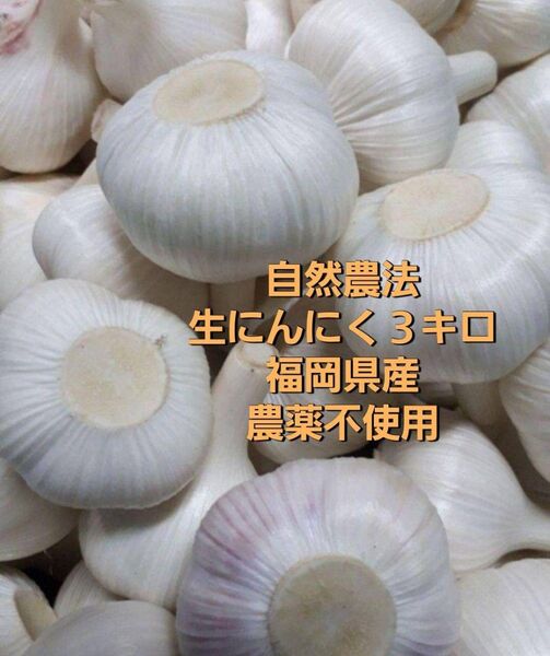 生にんにく3キロ 自然農法 福岡県産