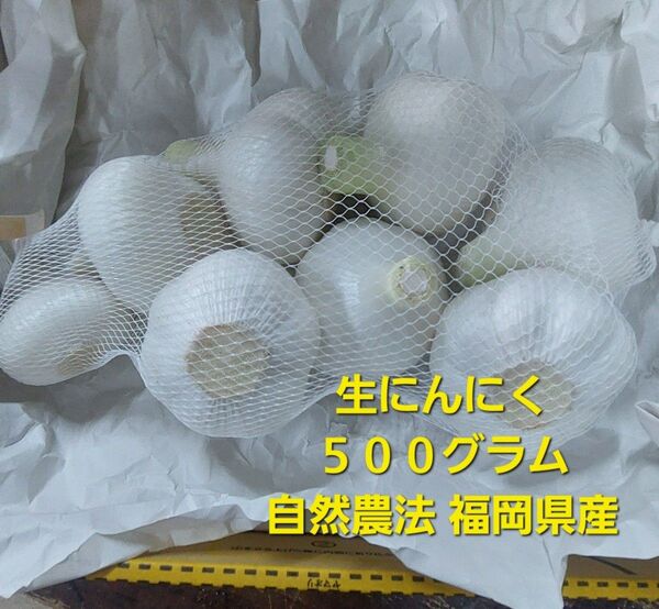 生にんにく500g自然農法福岡県産