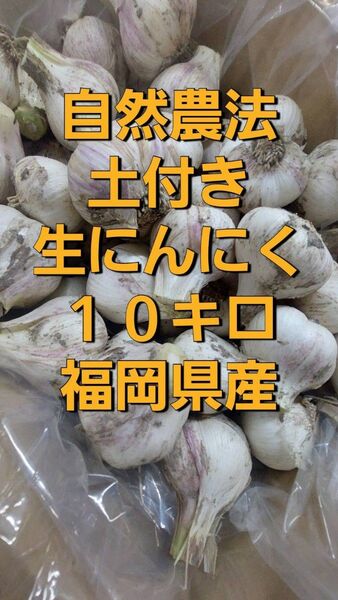 土付き生にんにく10キロ 自然農法 福岡県産