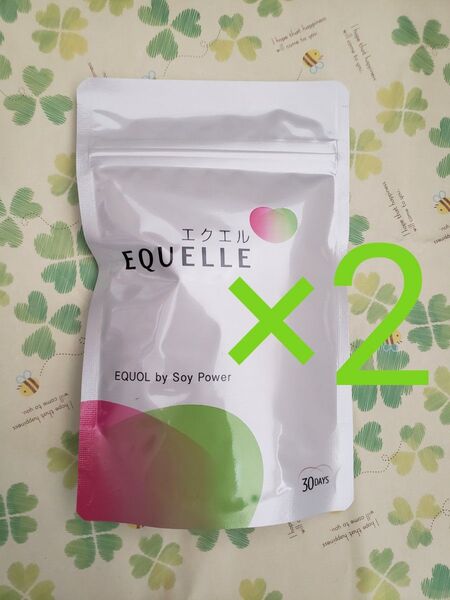 大塚製薬 エクエル パウチ120粒 二袋