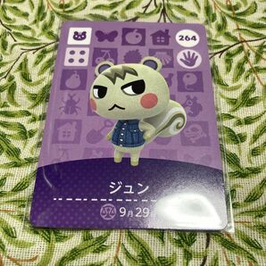 どうぶつの森 amiiboカード ジュン 訳あり
