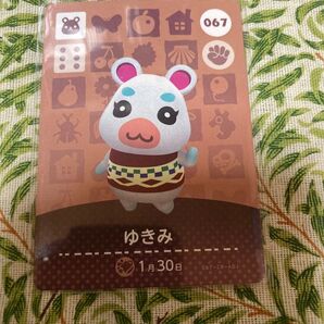 どうぶつの森 amiiboカード ゆきみ