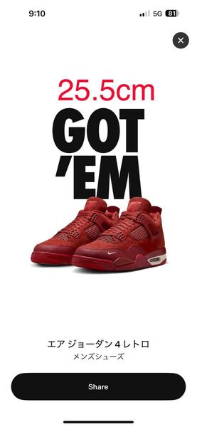 Nigel Sylvester × Nike Air Jordan 4 Retro OG "Brick By Brick"