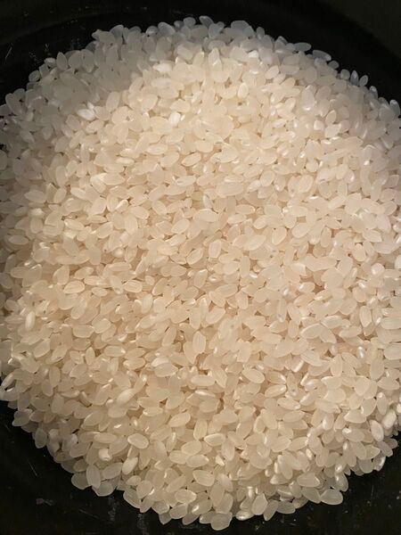 令和六年宮城県産 10kg ひとめぼれ ササニシキ クズ米 選別機 白米