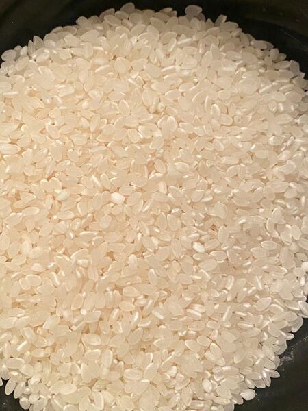 令和6年 宮城県産 クズ米 精米 選別機 ひとめぼれやササニシキ 約10kg 良質