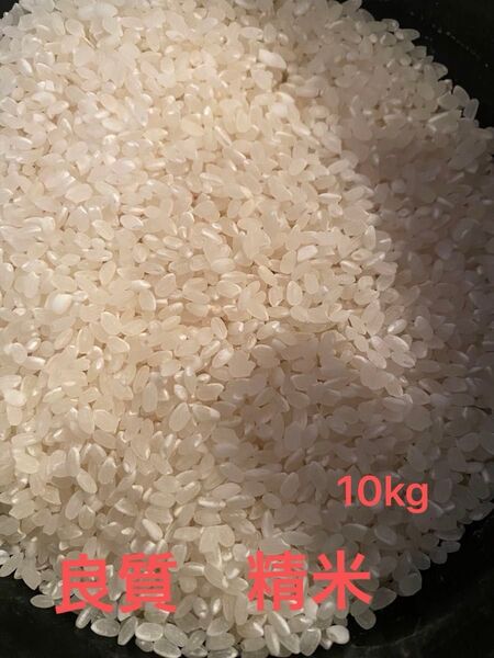 令和六年宮城県産 精米約10kg クズ米 選別機米 ひとめぼれ ササニシキ 白米