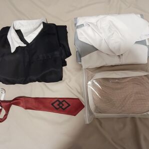 fgo マシュ コスプレ