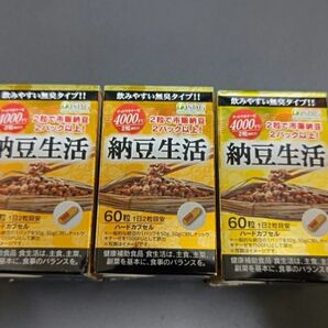 ISDG 医食同源 納豆生活60粒 ナットウキナーゼ 4000FU ×3箱