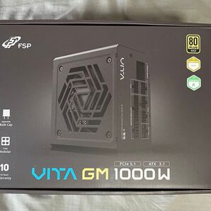 FSP VITA 1000GM