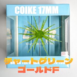 ハイドアップ コイケ17mm チャートグリーンゴールドF