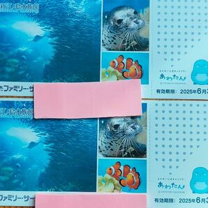 6/30まで 新江ノ島水族館 招待券 入場券 ペア 2枚