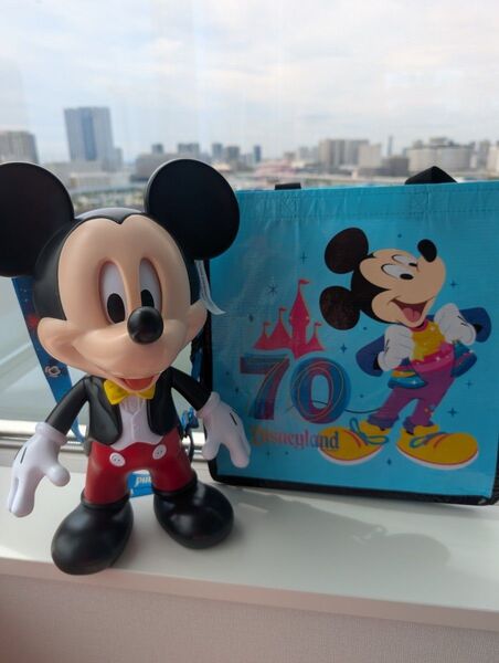 ディズニーランド 70周年限定 ポップコーンバケット アナハイム 日本未発売