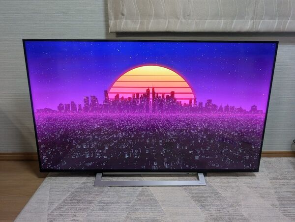 REGZA 55インチ 4Kダブルチューナー内蔵 液晶テレビ 55M540X 2021年製 動画配信サービス