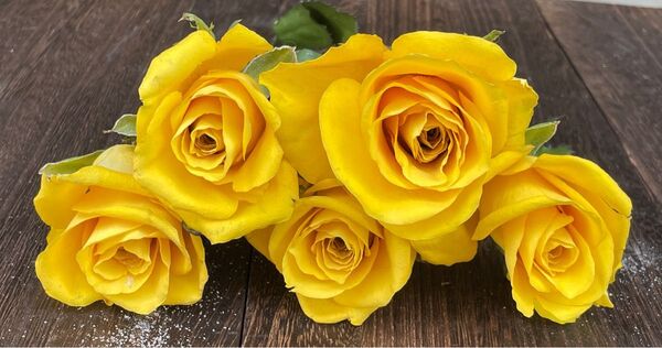 花材 ハンドメイド シリカゲルドライフラワー バラ ゴールドラッシュ イエロー