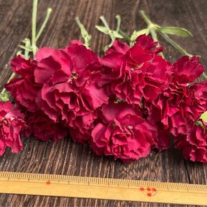 花材 ハンドメイド シリカゲルドライフラワー スプレーカーネーション 赤色