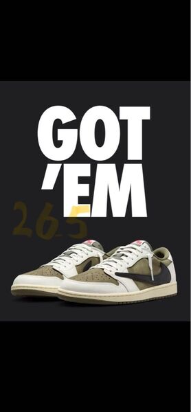Nike Travis Low