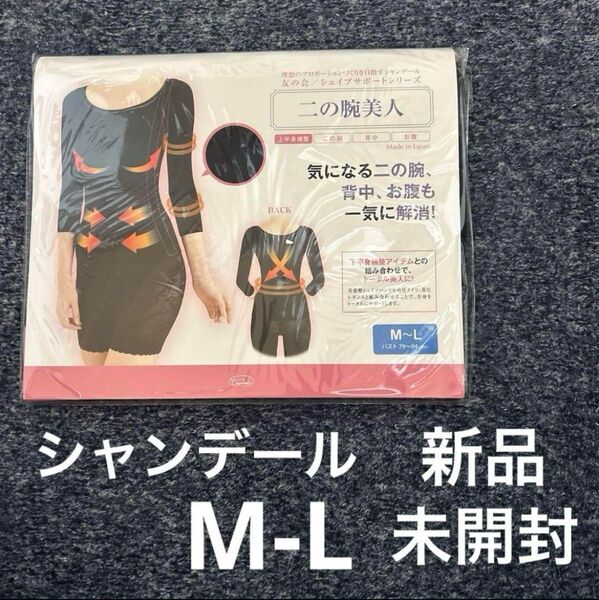 【新品・未開封】シャンデール シェイプサポートシリーズ 二の腕美人 インナー 黒 M-L