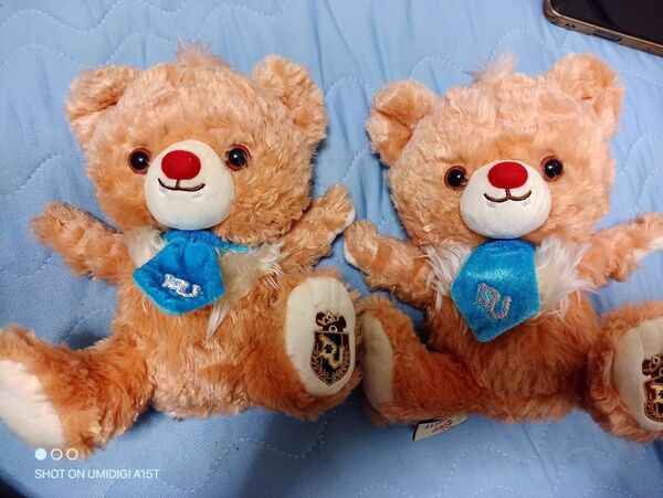 ディズニー ぬいぐるみダッフィー仲間