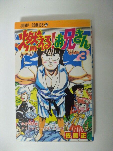 燃える!お兄さん 3 佐藤正 ジャンプコミックス