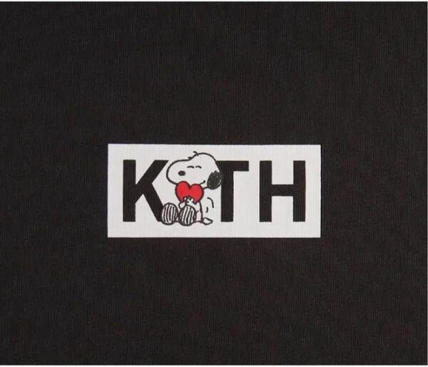 Kith Peanuts Doghouse Classic Logoスヌーピー Tシャツ KITH キス S ブラック 黒 半袖