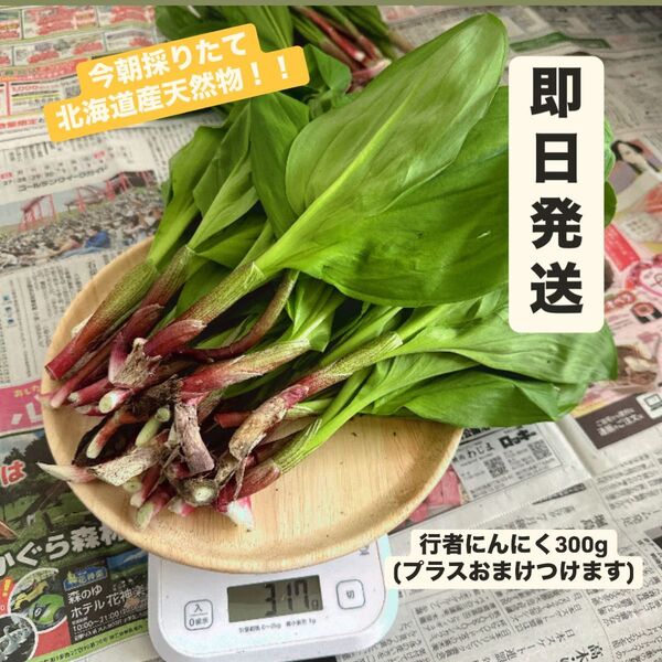 【ラスト1点!早い者勝ち!】〜期間限定品〜北海道雨竜郡産極太行者にんにく300g