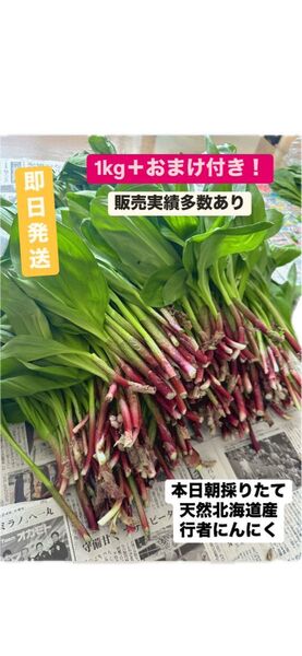 【ラスト1点!!】〜期間限定品〜北海道雨竜郡産行者にんにく1kg極太入り