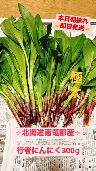 【本日朝採れ】北海道雨竜郡産極太行者にんにく300g