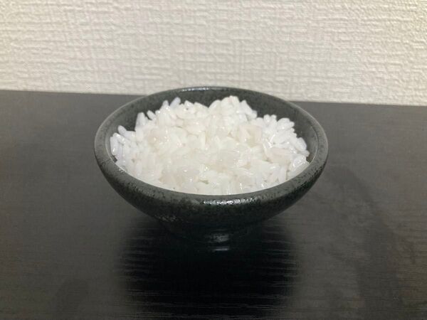 白米食品サンプル