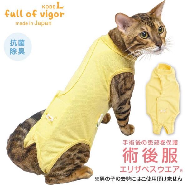 フルオブビガー 猫用 エリザベスウェア CSサイズ
