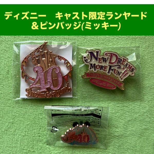 【クーポン利用でお得に購入】ディズニー キャスト限定ランヤード&ピンバッジセット◆新品未使用◆非売品